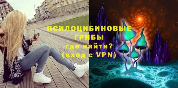 дживик Алексин